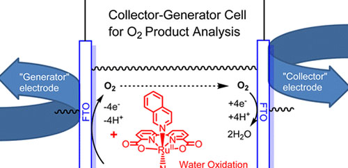 Analysis of Homogeneous Water Oxidation Catalysis with Collector–Generator Cells